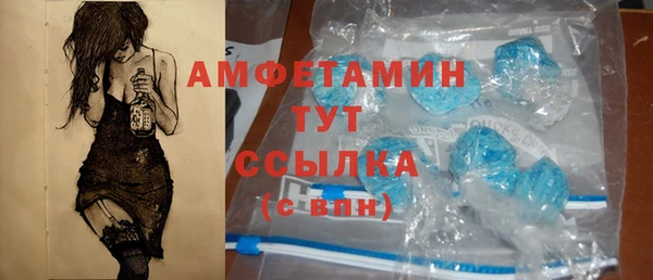 прущие грибы Бородино