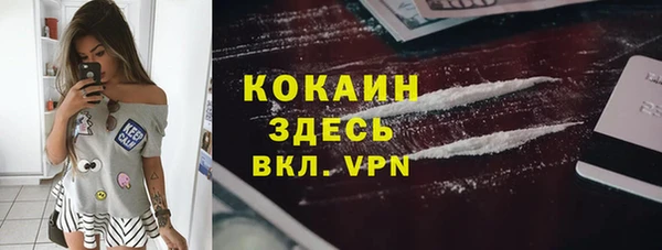 СК Бронницы