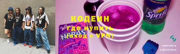 СК Бронницы