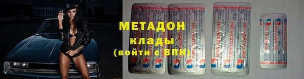 прущие грибы Бородино