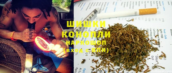 прущие грибы Бородино