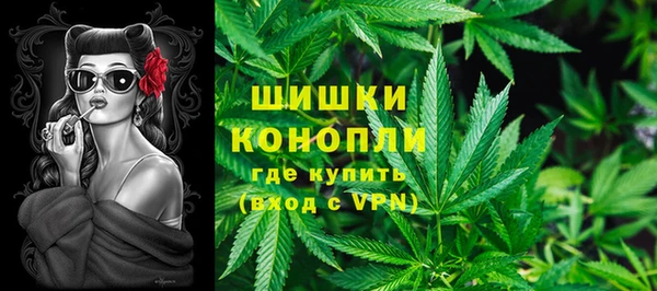 СК Бронницы