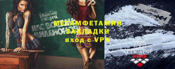 прущие грибы Бородино