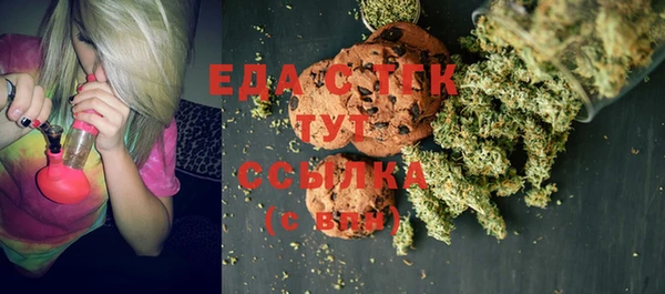 прущие грибы Бородино