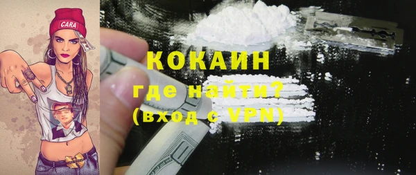 прущие грибы Бородино