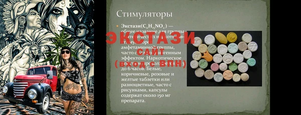 СК Бронницы