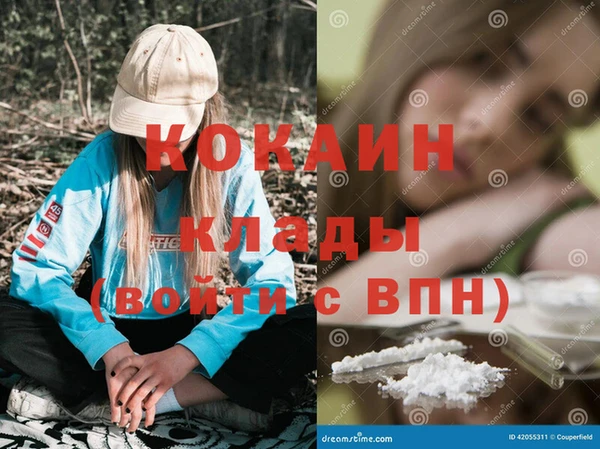 прущие грибы Бородино