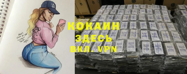 прущие грибы Бородино