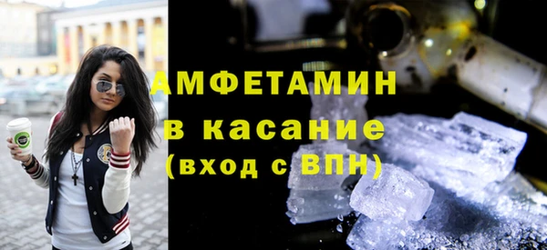 прущие грибы Бородино