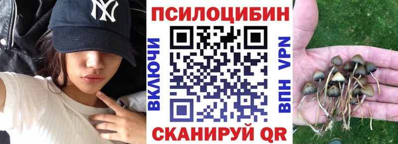 наркота Медногорск Псилоцибиновые грибы Psilocybe